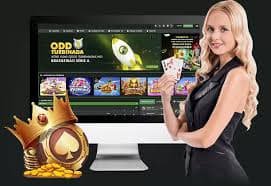 elon bet app